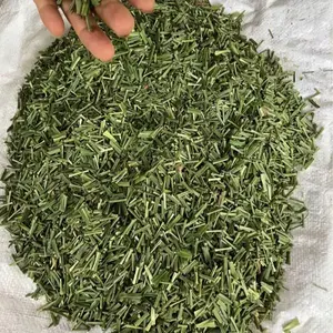 越南香草和香料供应商的柠檬草叶-干柠檬草叶质量好