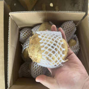 Pommes de terre fraîches, prix de gros, jaune clair, nouvelle récolte, légumes, Jining, Shandong, Chine, 10 tonnes MOQ, norme UE - Product Image 4