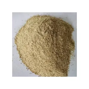 [HOT SALE 2023] High Grade Fine Dried Rice Husk Powder with Competitive Price Light Yellow Max 15% 10 Ton T/T LC Multi