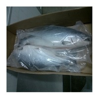 Produits de la mer |   Saumon - Atlantique Canadien Entier Frais (12-14 Lbs)