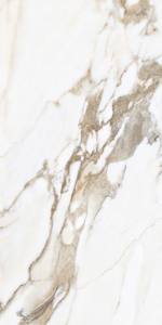 À prix réduit!! La plupart de tuile imprimée par plancher populaire de la Chine de conception fabriquant en Inde pour la grande villa de luxe. - Product Image 3