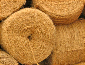 CUERDA COIR DE COCO-CUERDA COIR FUERZA DE LA CENA DE VIETNAM/ VDELTA - Product Image 6