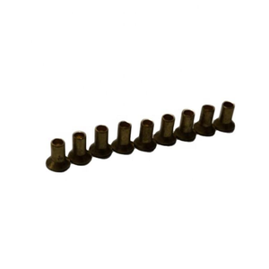 Muestra Gratuita de Remache de Acero Inoxidable 304 316, Remache Hueco de Cabeza Delgada Personalizado DIN6791 - Product Image 1