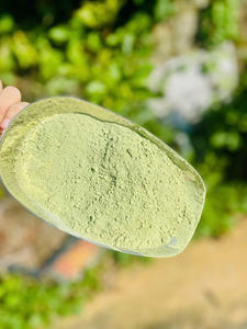 ผงใบบัวบกจากเวียดนามที่เชื่อถือได้ - Product Image 3