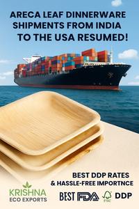 Exportation Qualité 160mm Biodégradable Jetable Eco Couteau En Bois Couverts Recyclables pour Ustensile D'emballage Alimentaire De L'usine - Product Image 5