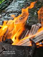 Barbecues jetables écologiques, briquettes de sciure sans fumée, charbon de bois, durée de combustion de 5 à 6 heures, facilement nettoyables pour