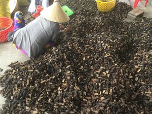 ผลไม้นอนิแห้งจากเวียดนามมอรินด้าซิทริโฟเลียผงแห้งจำนวนมาก - Product Image 6