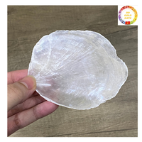 Pièces naturelles polies en coquille de Capiz blanc brut pour la décoration de la maison, rideau inspiré de la plage nautique et artisanat de mariage