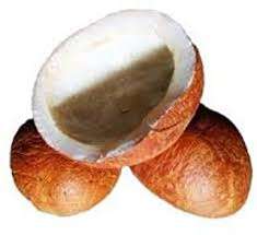 Viande de noix de coco pure tropicale 100%, fraîche et délicieuse Distributeur entier de Coconut Copra Holiday - Product Image 3