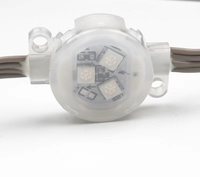 Module LED RGB 30 mm 12 V IP67 étanche avec couvercle en PC pour éclairage ponctuel extérieur et décoration