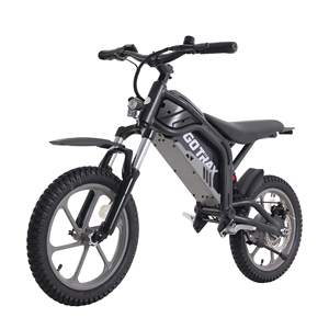 Moto tout-terrain électrique pour adultes, moteur central 48V, alliage d'aluminium, freins à disque hydrauliques 3 vitesses, batterie 1536Wh 32AH, vitesse maximale 40 MPH - Product Image 1
