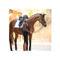 Croc verni en cuir noir personnalisé de haute qualité H.M. Safari Snaffle Bridle Prix de gros Produit de cheval non vivace