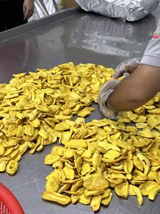 Chips de Jaca seca de Vietnam/Chips de Jaca seca crujiente con alta calidad y precio competitivo - Product Image 5