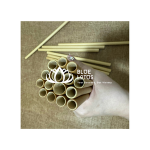 Pajitas de bambú sostenibles Pajitas naturales ecológicas reutilizables para una vida ecológica sin plástico - Product Image 1