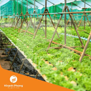 <b>Greenhouse</b> Film For Vegetable And Fruit Cultivation Providing Excellent Heat Moisture Retention And Stable <b>Plant</b> Climate - Product Image 5