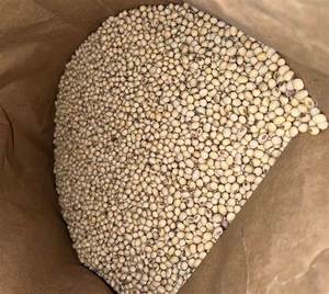 Semillas de guar de alta calidad/Frijoles de racimo/Semillas de guar phali Categoría de grano a precio barato - Product Image 6