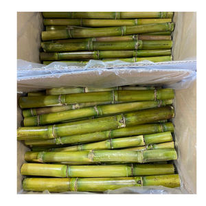 Frozen Sugarcane Chunks Peeled Ready To Use Frozen Sugarcane Packed For Beverage Factories Worldwide - Product Image 2