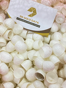 Premium White <b>Silkworm</b> Cocoon Natural Raw Silk for Exfoliation Crafts Eco-Friendly Bulk Packaging Dyed Pattern Hot Selling - Product Image 2
