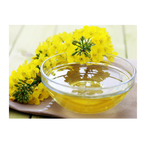 Huile de canola biologique raffinée à bas prix Approvisionnement en gros pour la cuisson des aliments Boissons Utilisation disponible Bouteille en plastique Emballage à tambour - Product Image 5