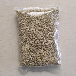 Graines de fenouil de qualité supérieure en gros, huile essentielle élevée, couleur verte, support de marque privée, emballage OEM en vrac - Product Image 4