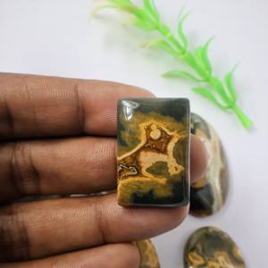 Cabujones de Jaspe Oceánico, Lisos, Semipreciosos, Lote al por Mayor, Cabujón de Piedra Preciosa de Jaspe Oceánico Crinoid, Lote de Cristal Natural - Product Image 1