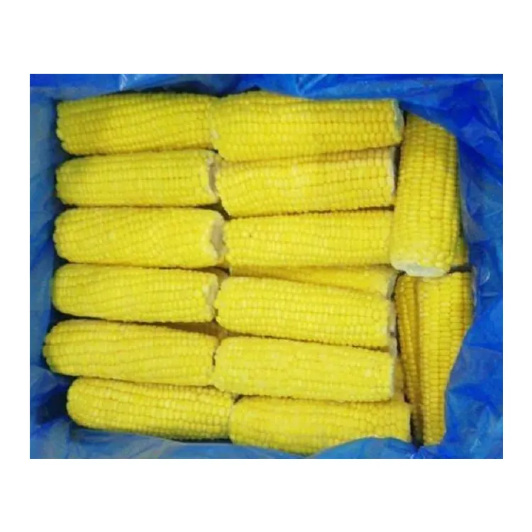 Fabrik Großhandels preis Überlegene Qualität Bestseller Natürliche Gelbe Farbe Frischer Zucker mais aus Ägypten