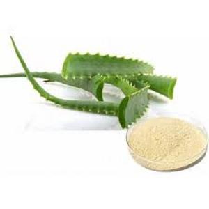 Extracto de hoja seca de Aloe Vera en polvo al mejor precio de la India - Product Image 1