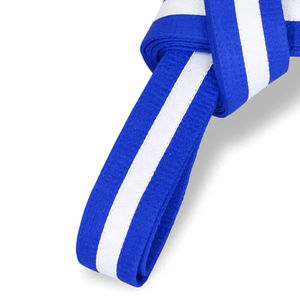 OEM vente en gros, ceinture de championnat légère pour le jiu jitsu, le karaté et le taekwondo, caractéristiques personnalisables pour les arts martiaux - Product Image 4