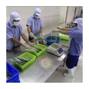 Hojas de yuca picadas Hoja de mandioca congelada Hecho en Vietnam Venta superior 2025 Hojas de tapioca trituradas y molidas - Product Image 5