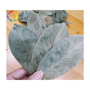 100% hojas de Graviola de Guanábana secas naturales/hoja de Guanábana seca hecha en Vietnam embalaje OEM 0,5kg para exportación - Product Image 5