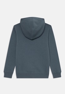 Sudaderas ecológicas para niños hechas con telas suaves y sostenibles con un estampado personalizado, seguras para pieles sensibles, cómodas y transpirables. - Product Image 3