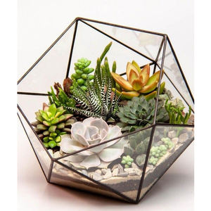 Cajas de Joyería de Latón con Acabado Negro de Calidad Superior, Terrario con Borde de Vidrio Transparente, Florero Decorativo de Vidrio para Hogar u Oficina - Product Image 3