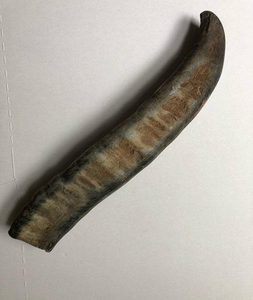 Embouts de corne de vache polis - Décorations en corne de buffle brute et sculptée pour la fabrication de bijoux DIY et l'artisanat de style animal - Product Image 4