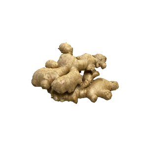 Racine de gingembre frais pour stimuler les enzymes digestives - Product Image 2