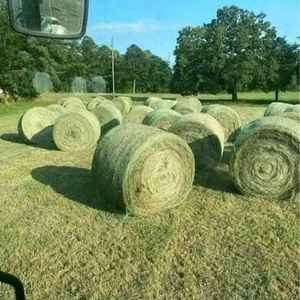 Heno de Alfalfa de Alta Calidad al por Mayor, Perfecto para Ganado, a la Venta a Granel - Product Image 4