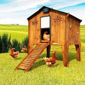 Made in Italy alta qualità hpl laminato esterno resistente casa pollaio rialzato - Product Image 2