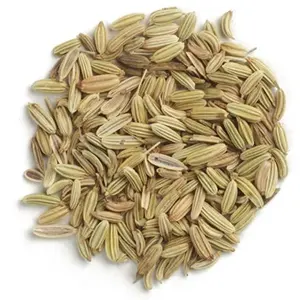 Price fennel seeds factory price supply fennel export