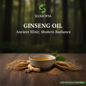Huile de ginseng de qualité assurée pour les acheteurs professionnels recherchant une offre constante pour la fabrication de produits de beauté et de parfums - Product Image 2