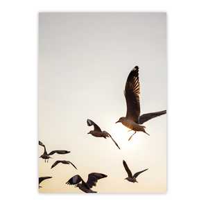 Impresión artística de gaviotas, tamaño DIN A3, diseño único para decoración del hogar - Product Image 1