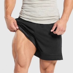 Pantalones Cortos Deportivos Casuales de Malla Sólida de Alta Calidad, Logotipo Personalizado, Servicio OEM, Bordado Impreso para Gimnasio, Correr, Unisex - Product Image 1