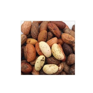 Export Grade Garcinia Kola Dried Bitter Kola <b>Nuts</b> - Product Image 2