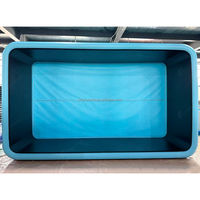 Riesiger PVC-DWF-Aufblasbarer Swimmingpool in Individueller Größe und Form mit Filterpumpe, Tragbarer Außenpool für 4/6/8 Personen, Erwachsene und Kinder