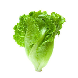 ผักพรีเมี่ยม: ใบลำต้นและเมล็ดพืชสำหรับสลัดซุปแซนวิชห่อและย่างจากการขายดี - Product Image 2