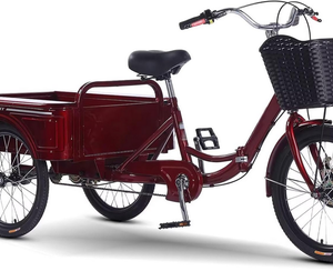 Triciclo Plegable para Adultos Mayores, MEJOR Material de Marco, Ruedas de 20 Pulgadas de Baja Distancia Entre Ejes, Diseño de 3 Ruedas, Pedales, Capacidad de Carga, Engranajes Perfectos, Sistema de Frenado - Product Image 1