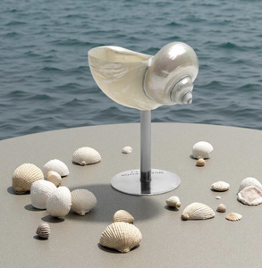 Verre à vin coquillage Parfait pour les concepts de complexes tropicaux Événements de fruits de mer et style culinaire décoratif - Product Image 6