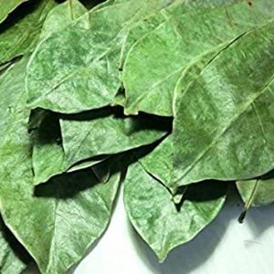 ใบฝรั่งอบแห้ง-ส่วนผสมสมุนไพรธรรมชาติแท้ 100% ยี่ห้อ EXPAD - Product Image 3