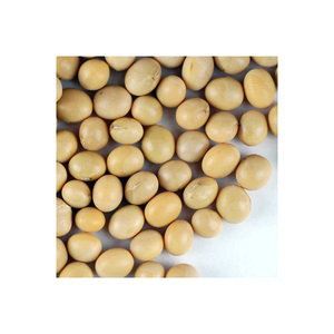 Semilla de soja amarilla sin OGM orgánica certificada, semilla de soja de estilo seco en embalaje a granel - Product Image 5