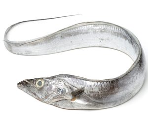 Poisson ruban congelé de haute qualité en gros |   Poisson ruban congelé en mer IQF pour l'exportation - Product Image 2