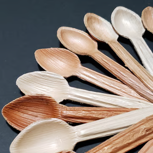 Premium Eco-Friendly Durable Biodegradable Compostable Palm Leaf Spoon Sustainable Cutlery for Parties and Events - Product Image 1