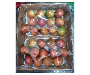 เสาวรสสดพรีเมียมจากเวียดนามสำหรับส่งออก - เสาวรสสีเหลืองและสีม่วงสำหรับทำน้ำผลไม้และเครื่องดื่ม - Product Image 2